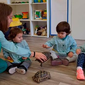 Escola Infantil Apolo 10 niños con tortugas